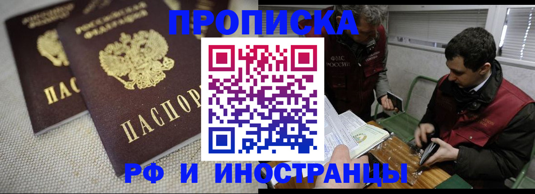 прописка для школы в Купино