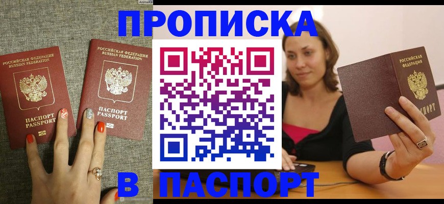 прописка паспорт в Купино